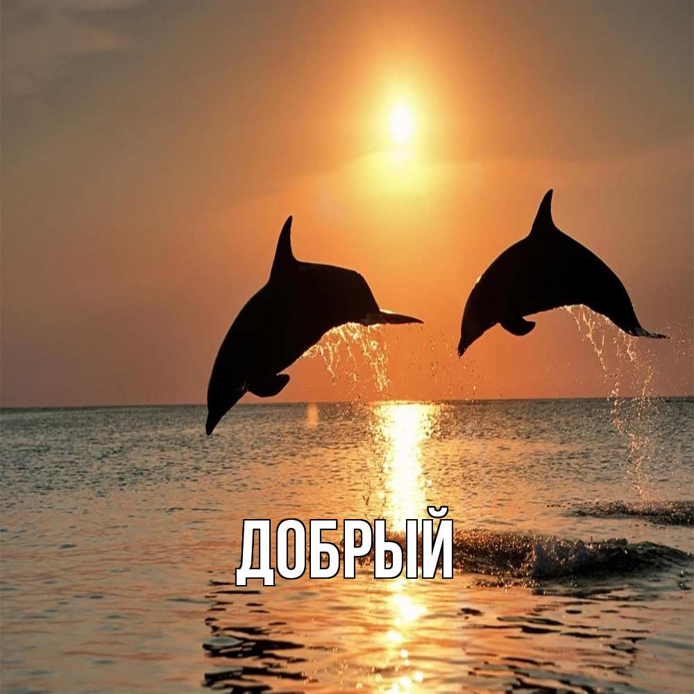Открытка  с именем. Добрый, Главная  
