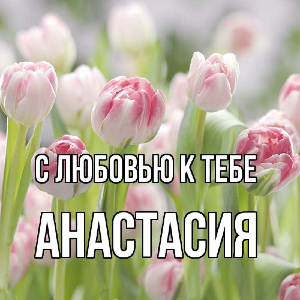 Открытка  с именем. Анастасия, С любовью к тебе  
