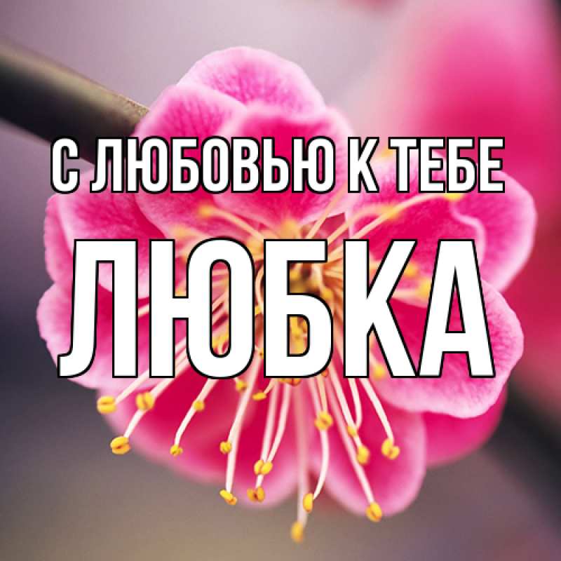 Открытка с именем, Любка, С любовью к тебе