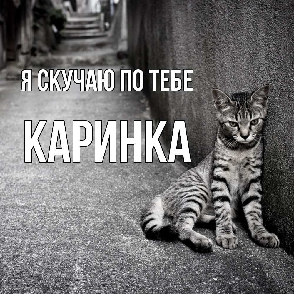 Открытка  с именем. Каринка, Я скучаю по тебе  