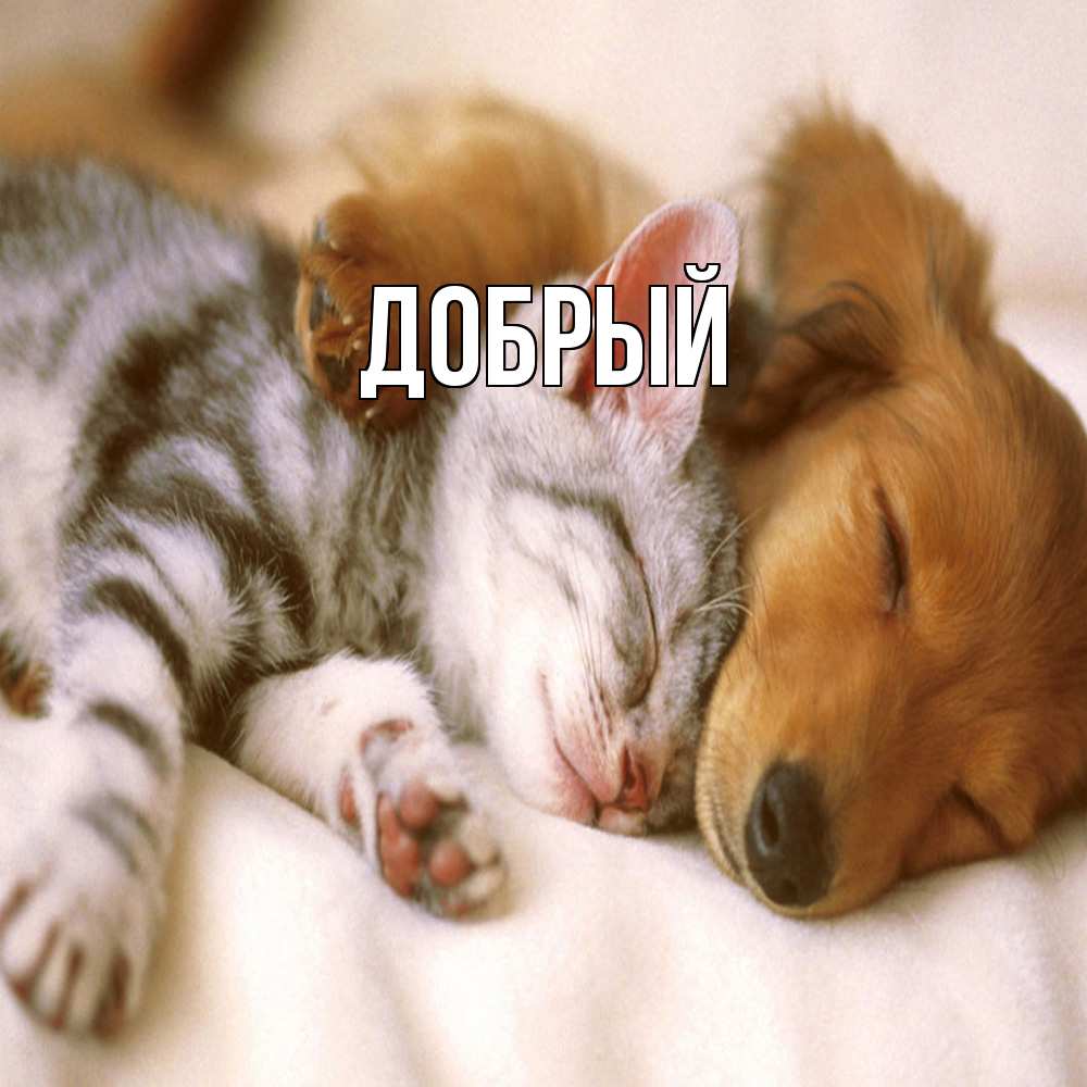 Открытка  с именем. Добрый, Главная  