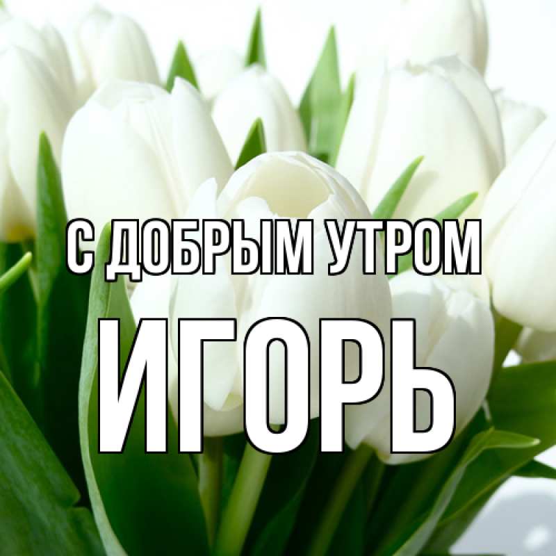 Картинка С добрым утром, Игорь