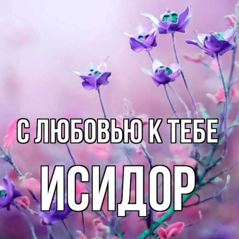 Картинка С любовью к тебе, Исидор
