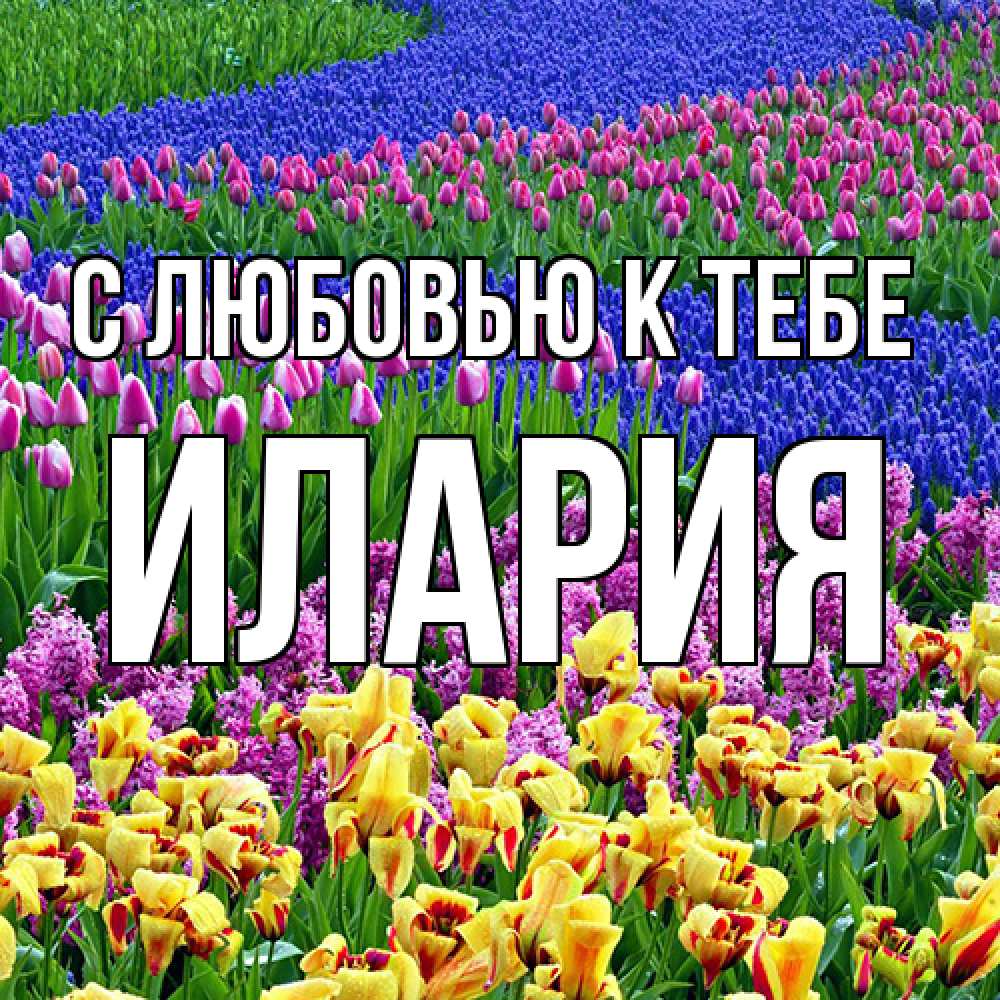 Открытка  с именем. Илария, С любовью к тебе  