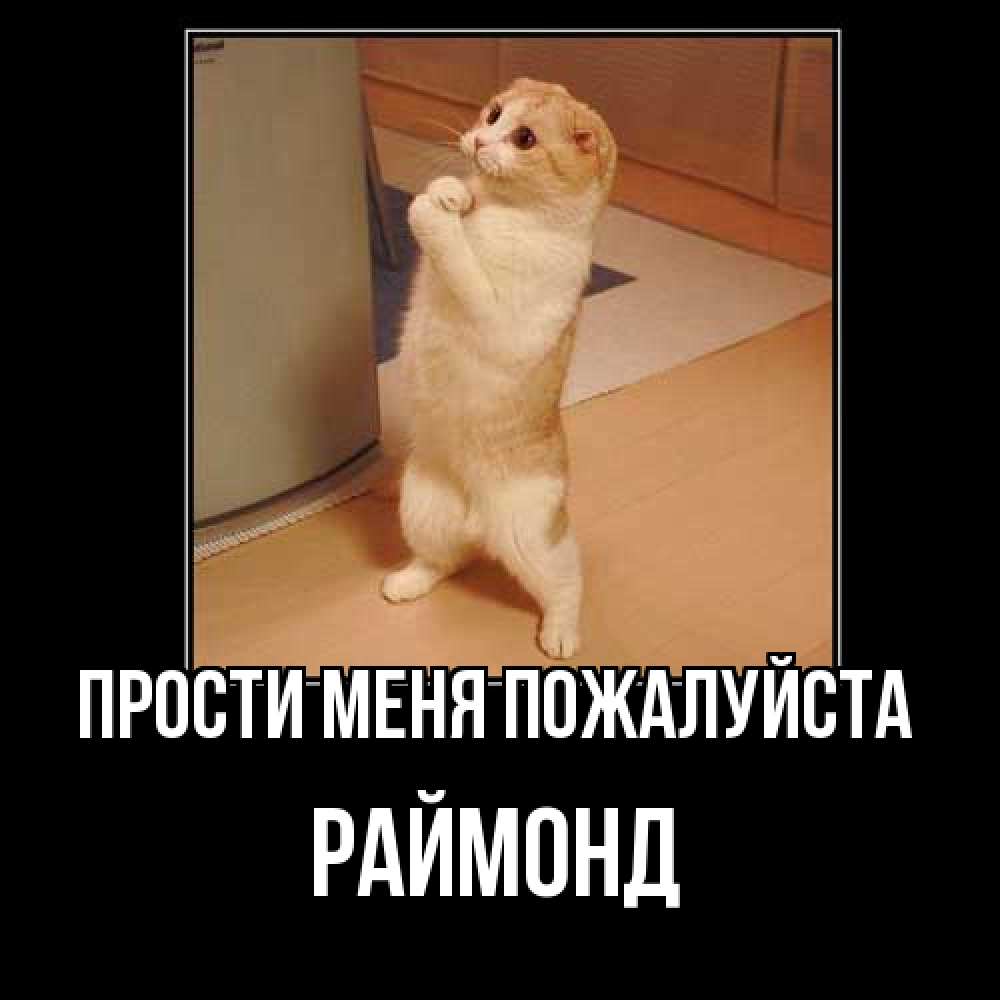 Открытка  с именем. Раймонд, Прости меня пожалуйста  