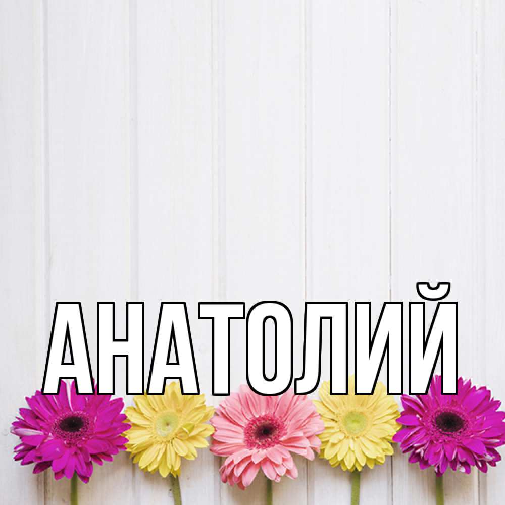 Открытка  с именем. Анатолий, Главная  