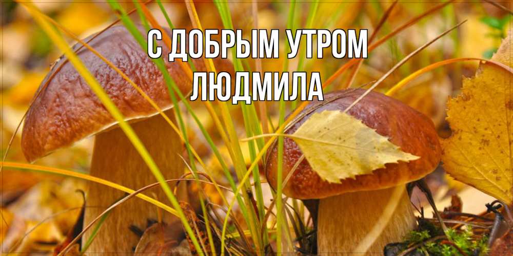Открытка  с именем. Людмила, С добрым утром  