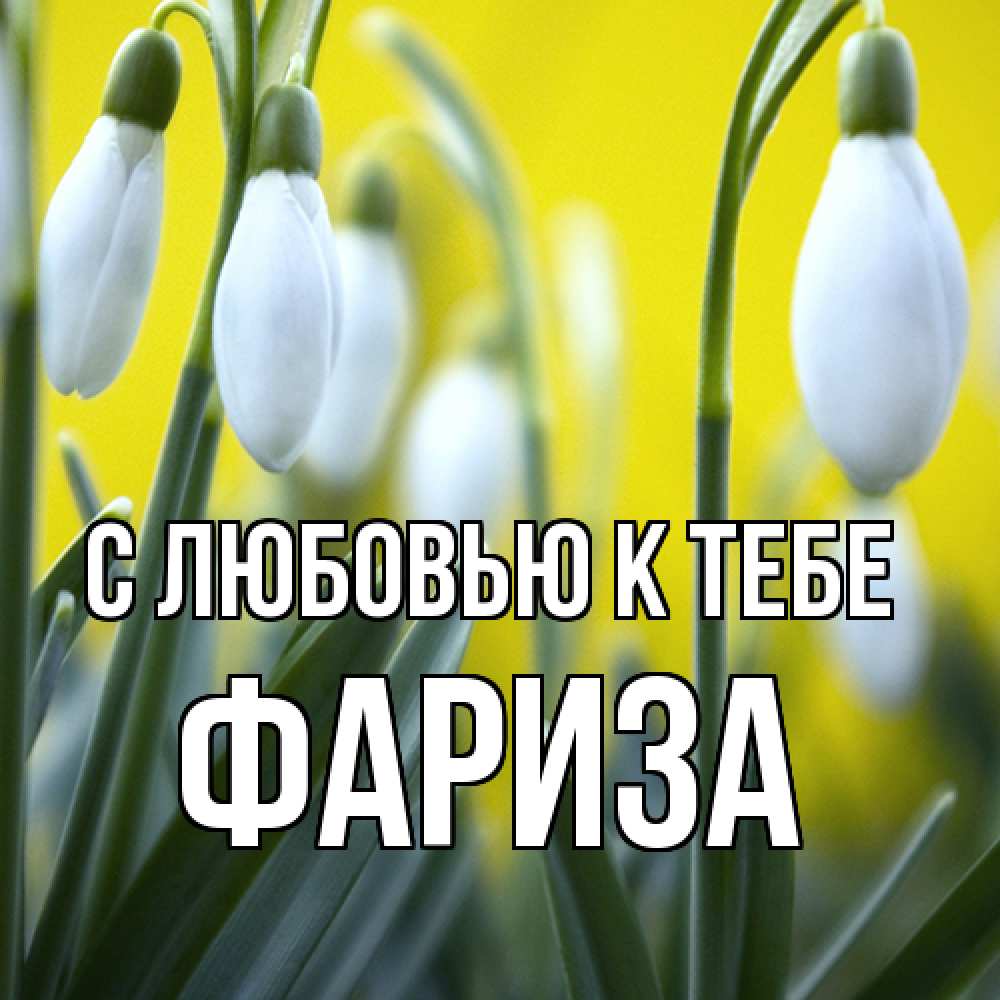 Открытка  с именем. Фариза, С любовью к тебе  
