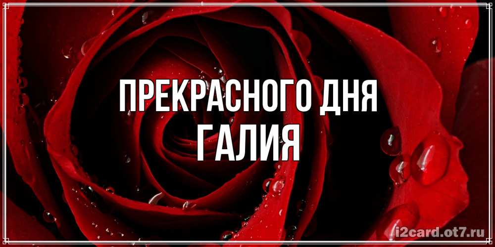 Открытка  с именем. Галия, Прекрасного дня  