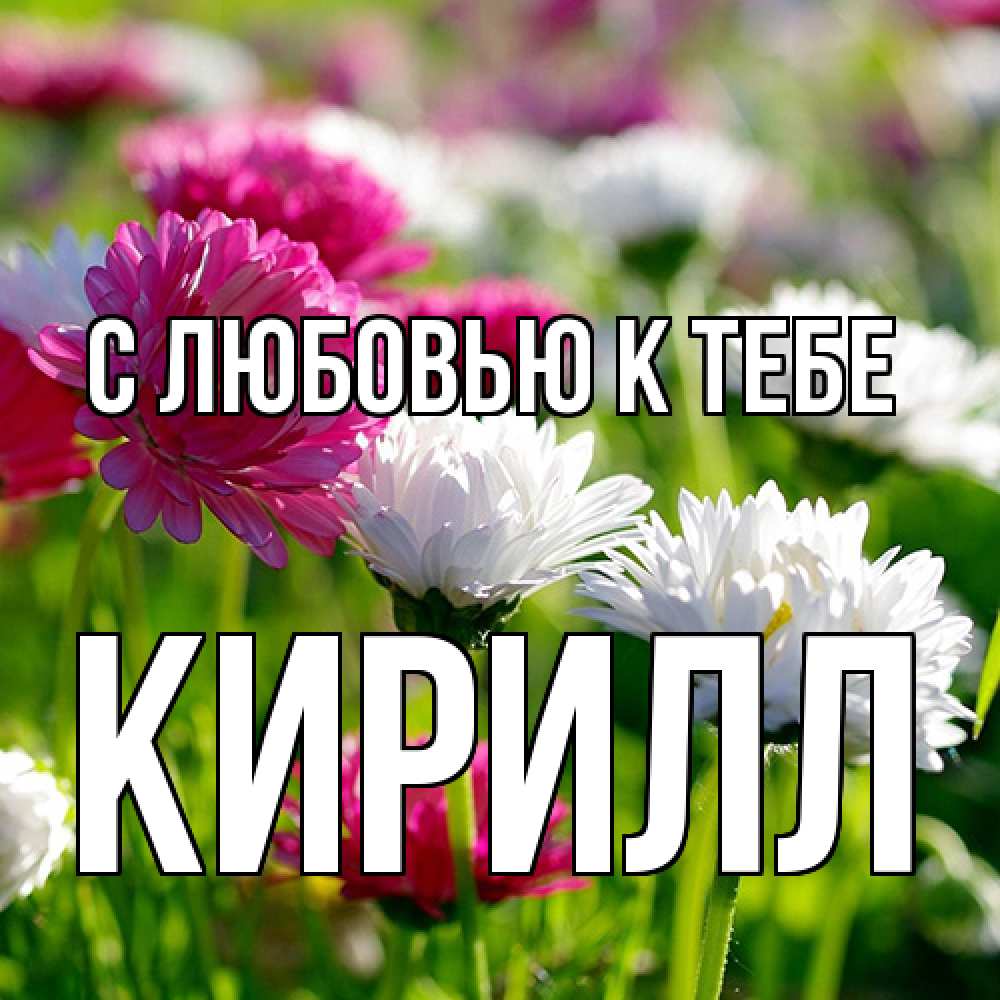 Открытка  с именем. Кирилл, С любовью к тебе  