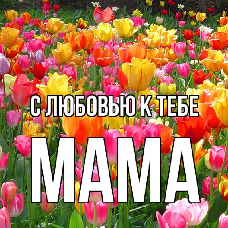 Картинка С любовью к тебе, Мама