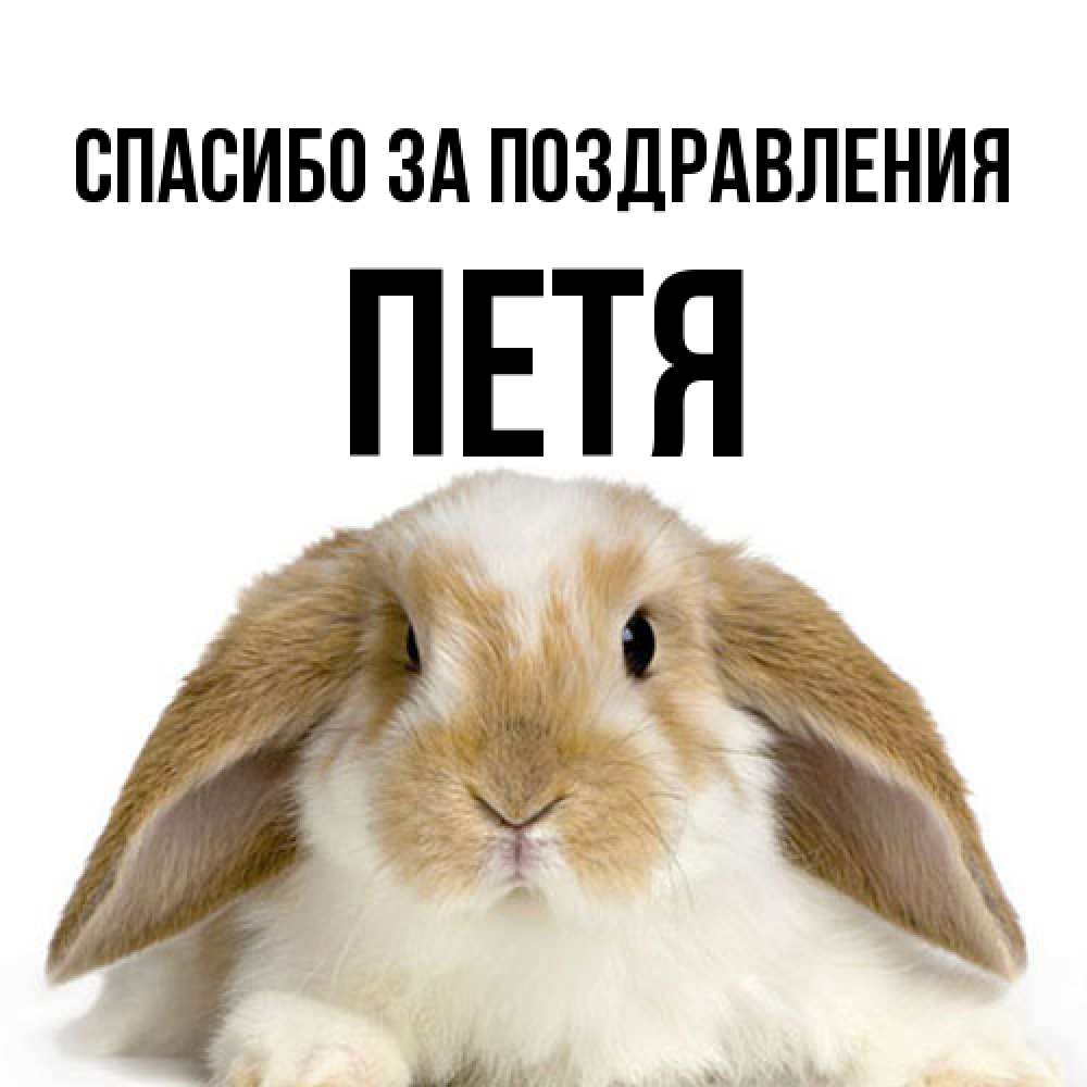 Открытка  с именем. Петя, Спасибо за поздравления  