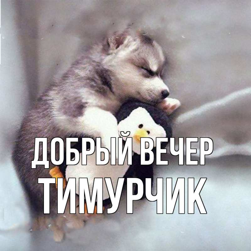 Картинка Добрый вечер, Тимурчик