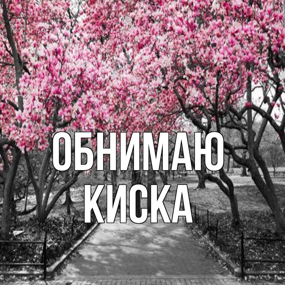 Открытка  с именем. Киска, Обнимаю  