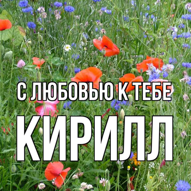Картинка С любовью к тебе, Кирилл