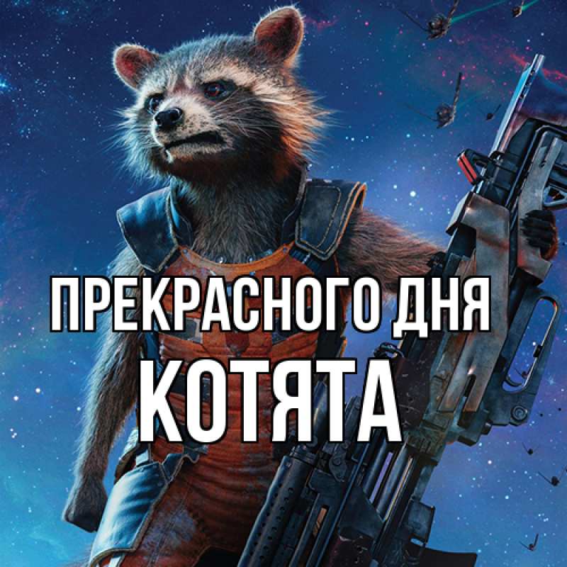 Открытка с именем, Котята, Прекрасного дня