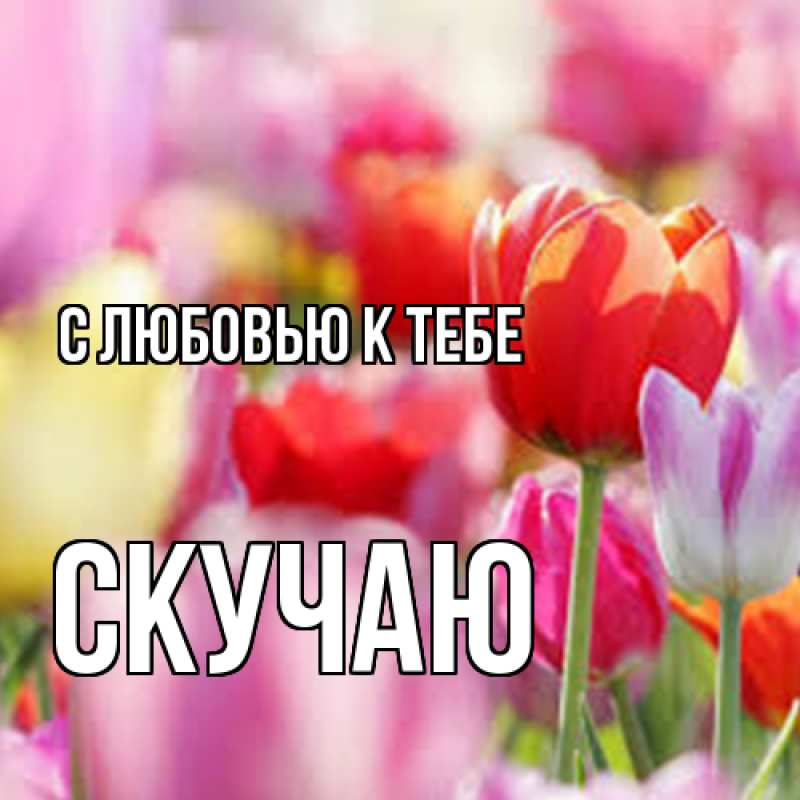 Картинка С любовью к тебе, Скучаю