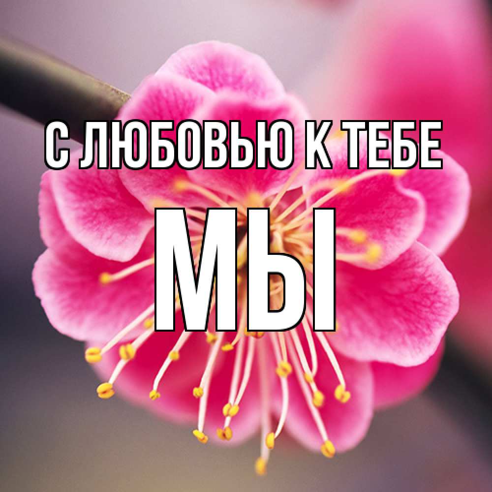 Открытка  с именем. Мы, С любовью к тебе  