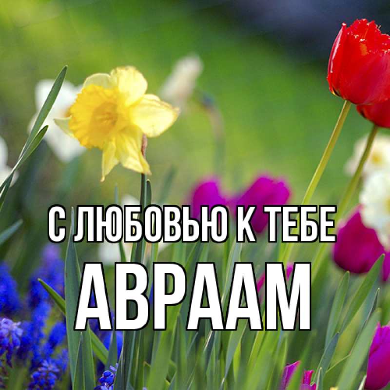Картинка С любовью к тебе, Авраам