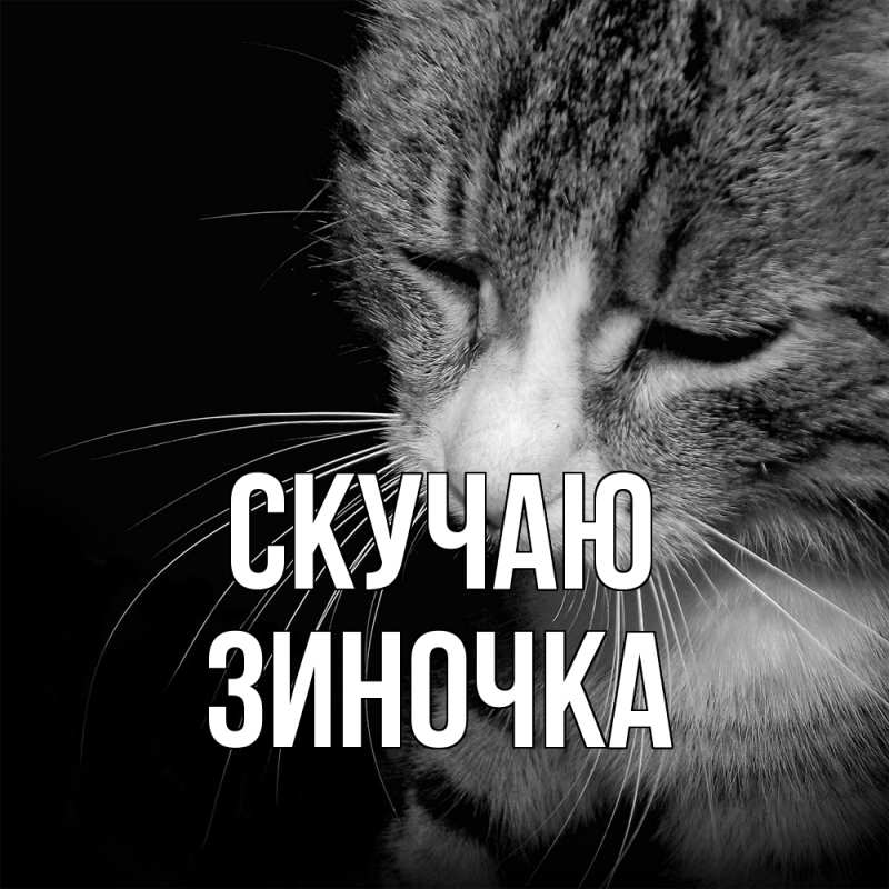 Картинка Скучаю, Зиночка