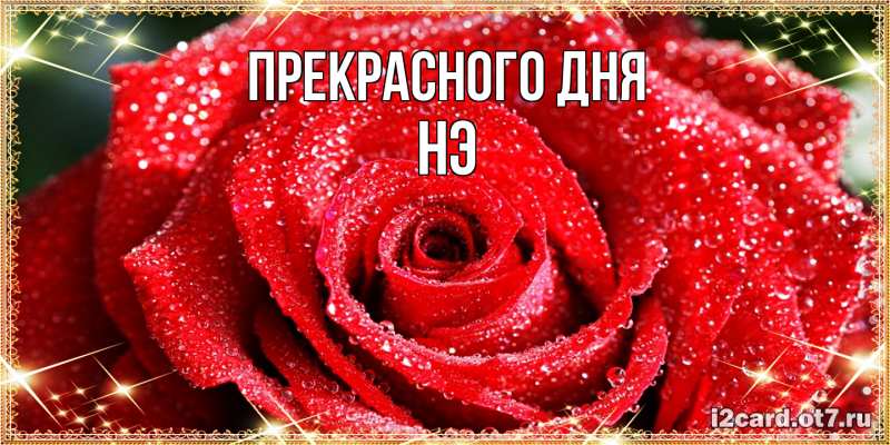 Картинка Прекрасного дня, Нэ