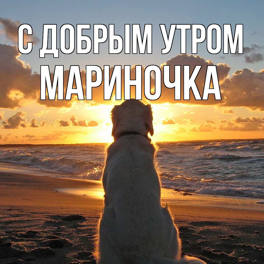 Открытка  с именем. Мариночка, С добрым утром  