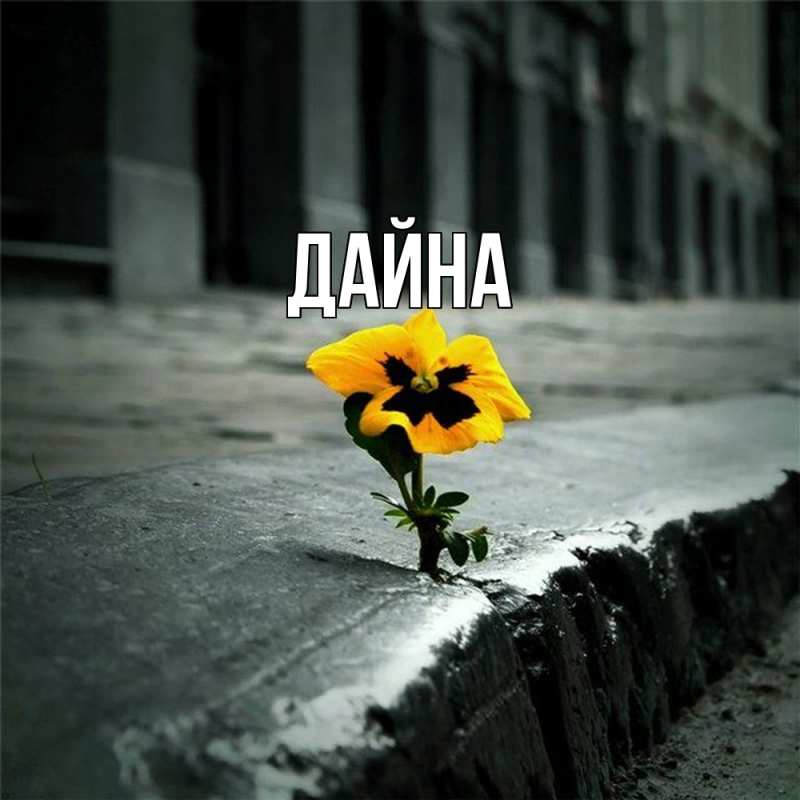 Картинка  с именем , Дайна