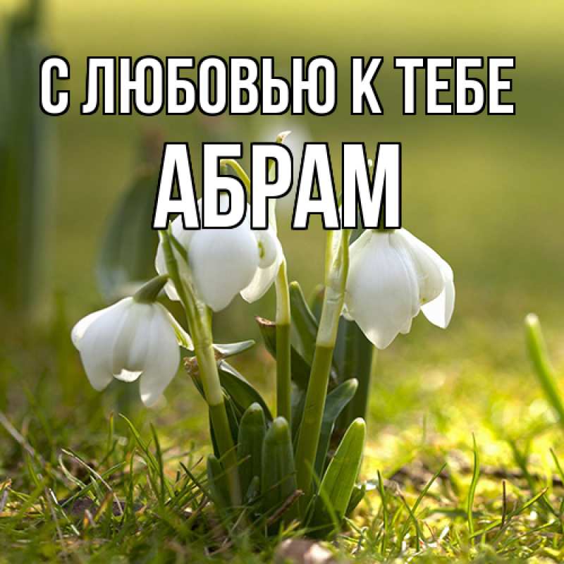 Картинка С любовью к тебе, Абрам