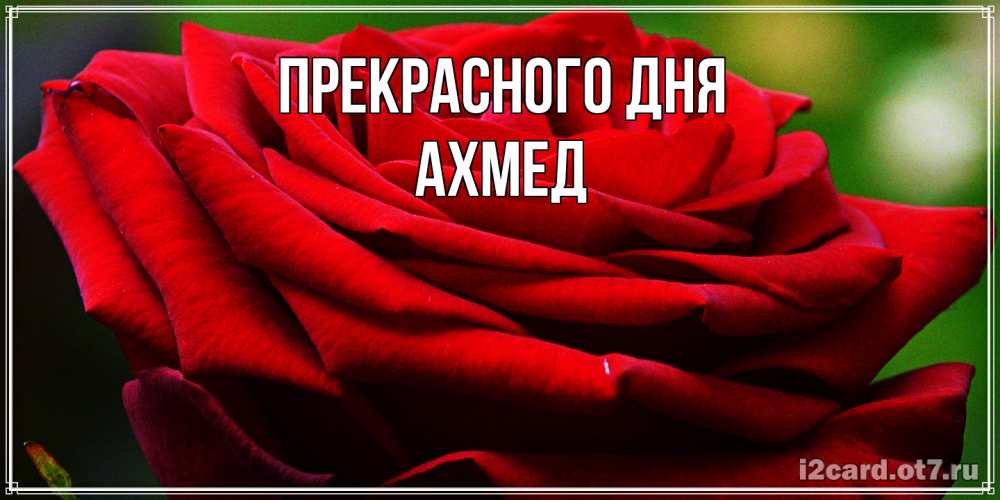 Открытка  с именем. Ахмед, Прекрасного дня  