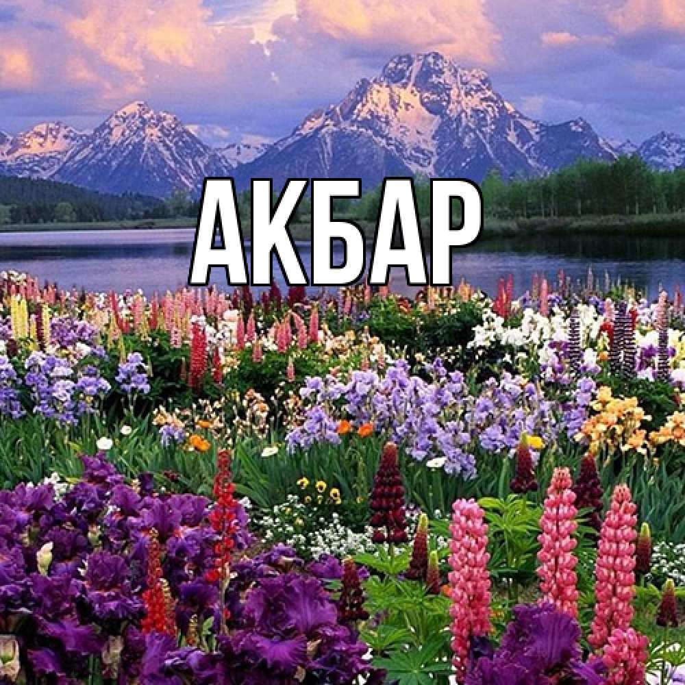 Открытка  с именем. Акбар, Главная  