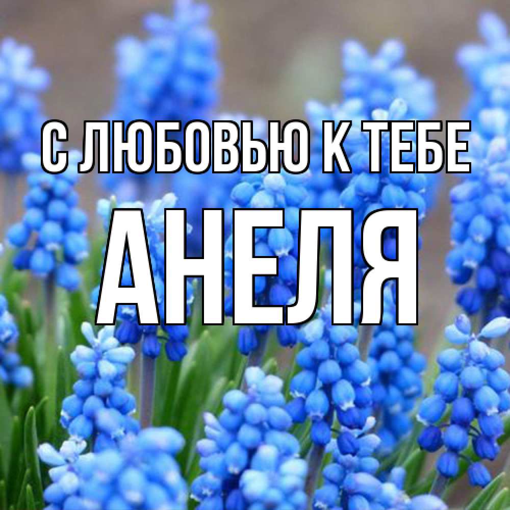 Открытка  с именем. Анеля, С любовью к тебе  