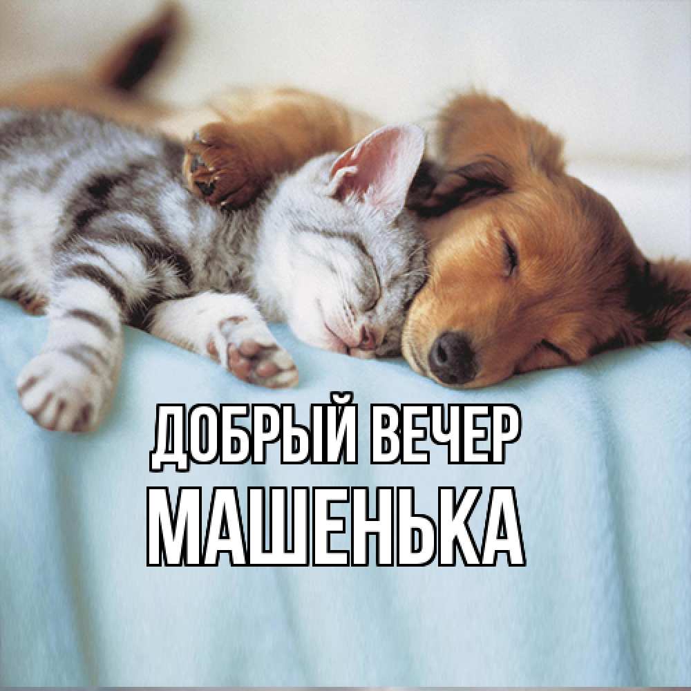 Открытка  с именем. Машенька, Добрый вечер  