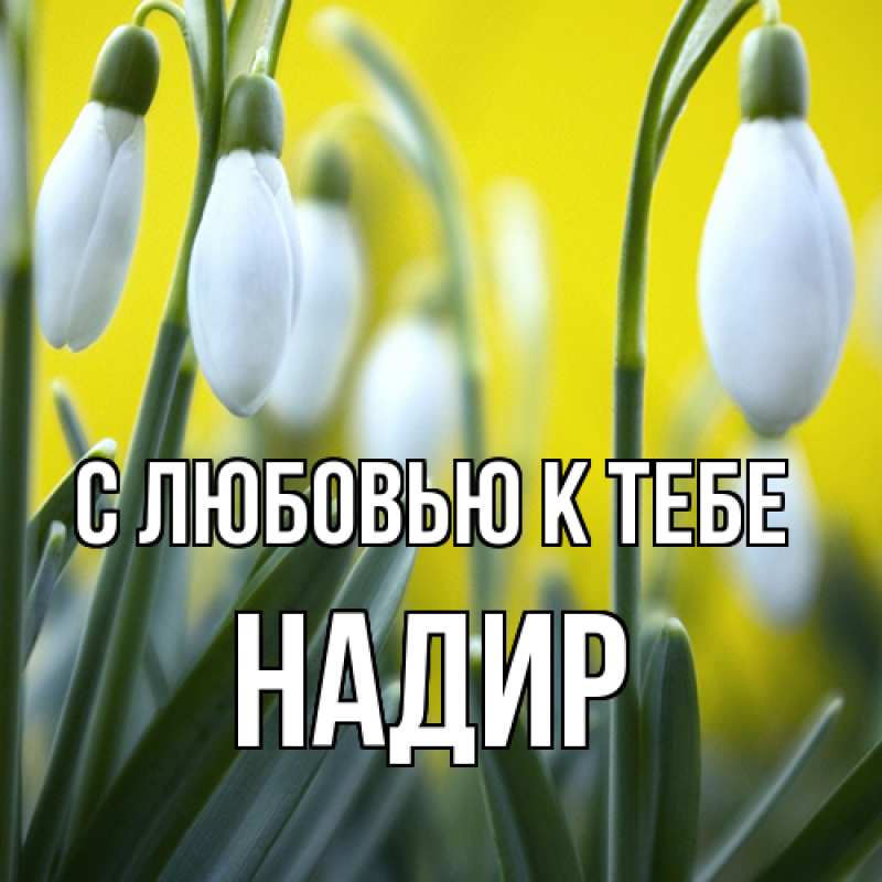 Картинка С любовью к тебе, Надир