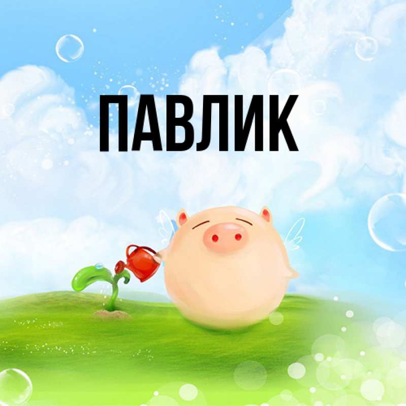 Картинка  с именем , Павлик