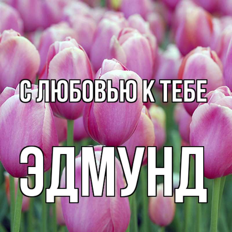 Картинка С любовью к тебе, Эдмунд