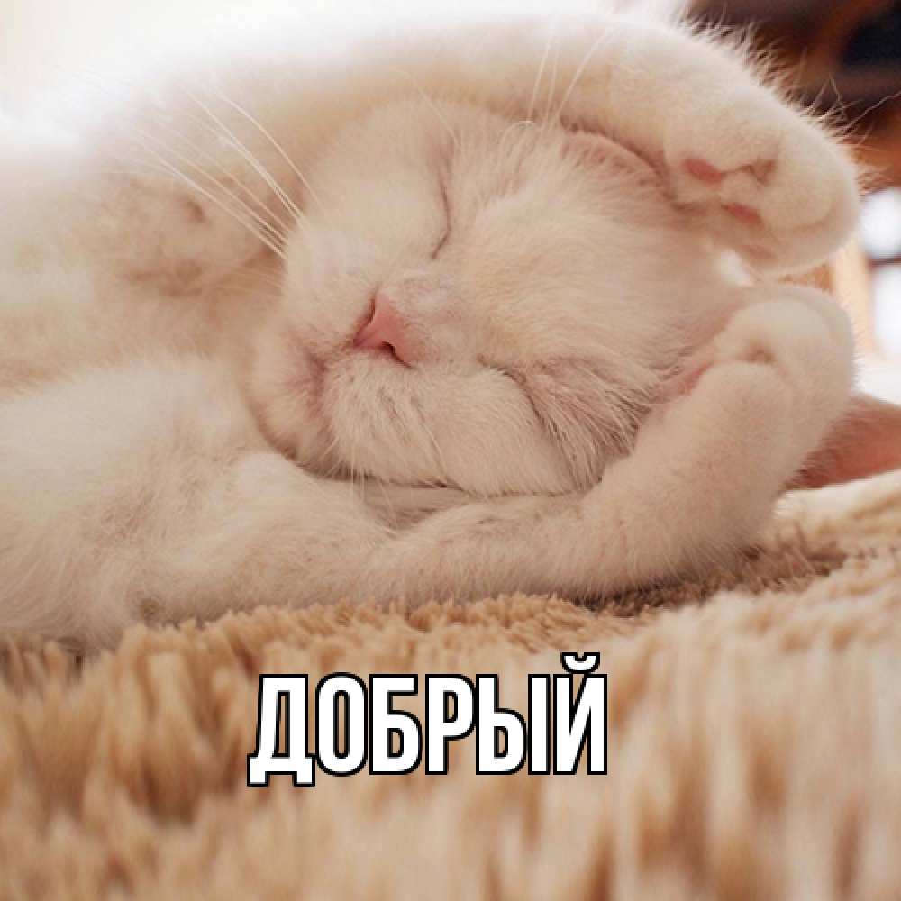 Открытка  с именем. Добрый, Главная  