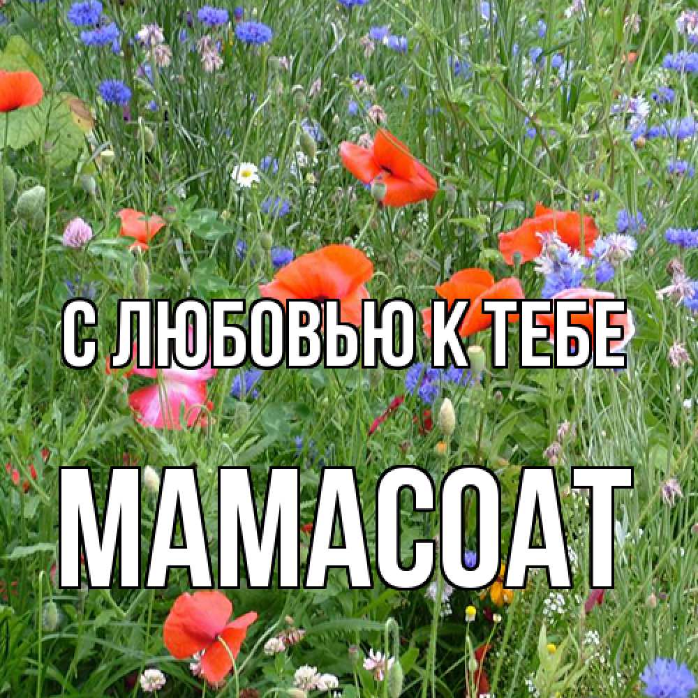 Открытка  с именем. Мамасоат, С любовью к тебе  