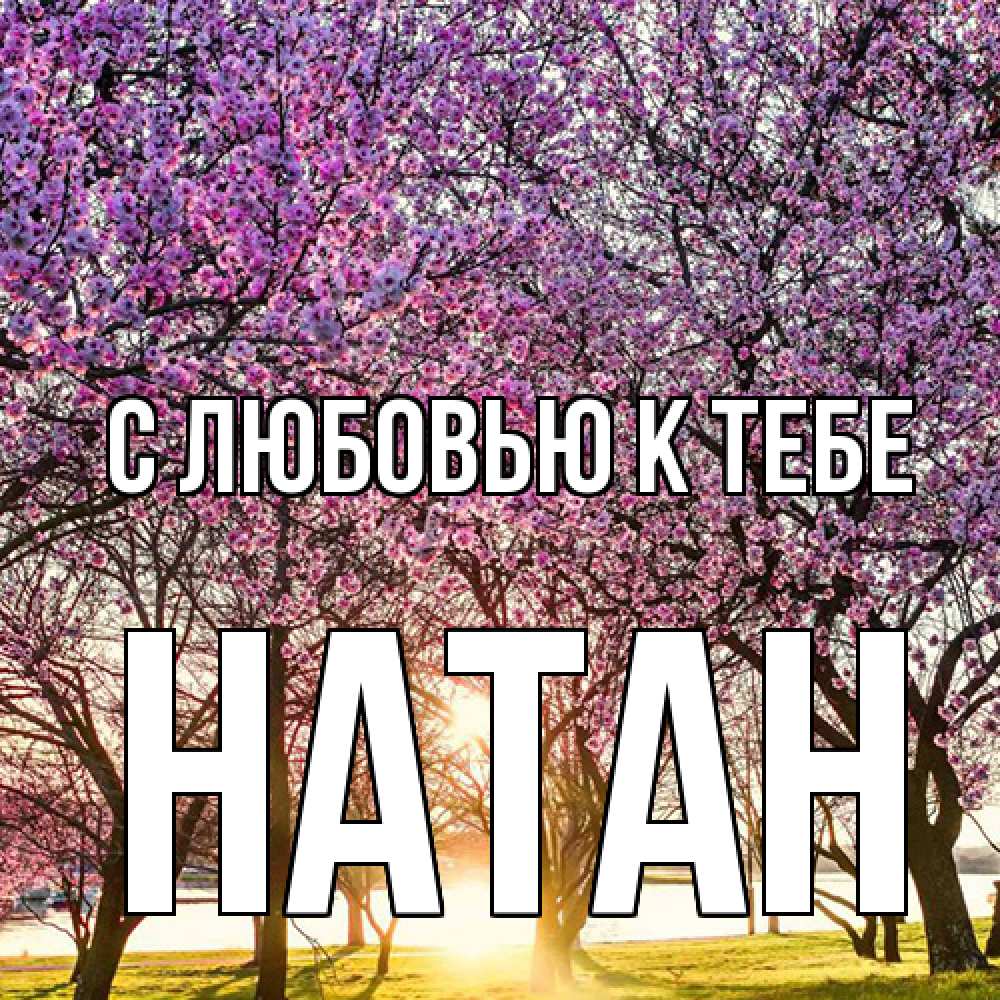 Открытка  с именем. Натан, С любовью к тебе  