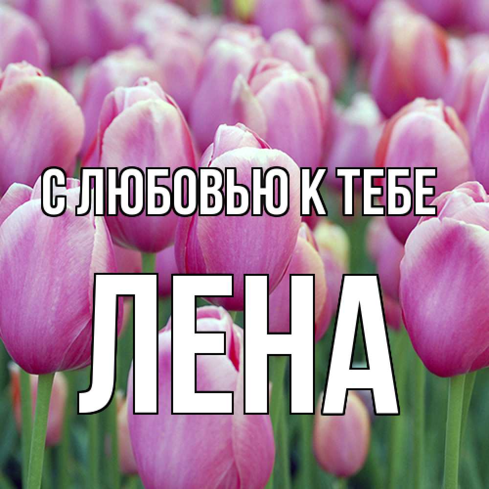 Открытка  с именем. лена, С любовью к тебе  