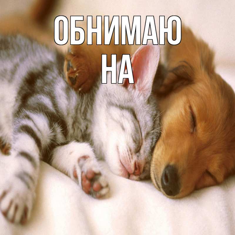 Картинка Обнимаю, на