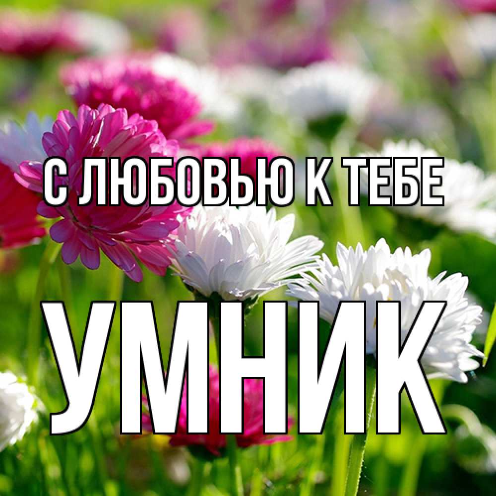 Открытка  с именем. Умник, С любовью к тебе  