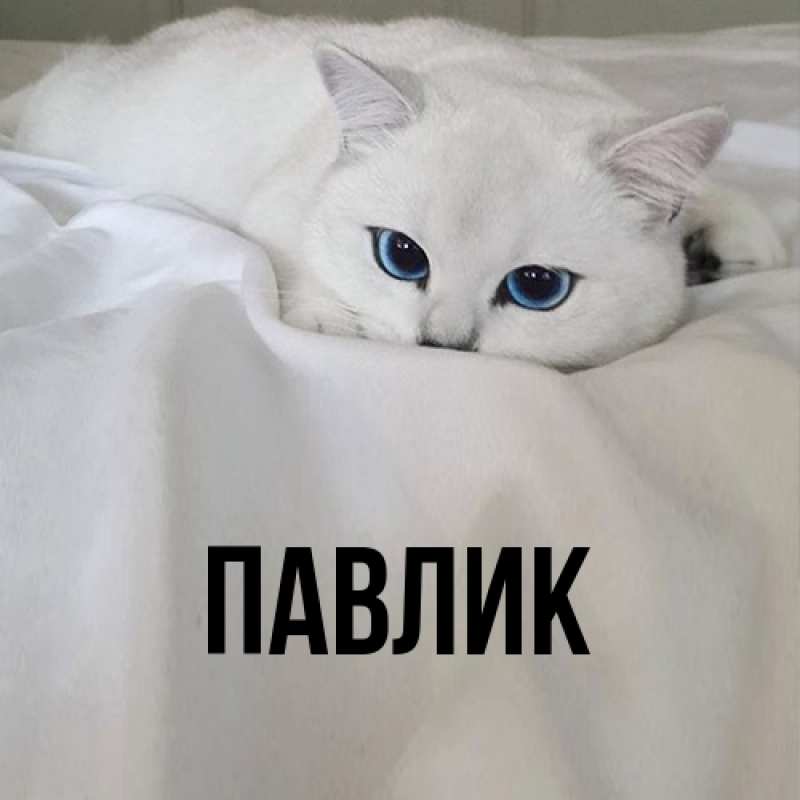Картинка  с именем , Павлик