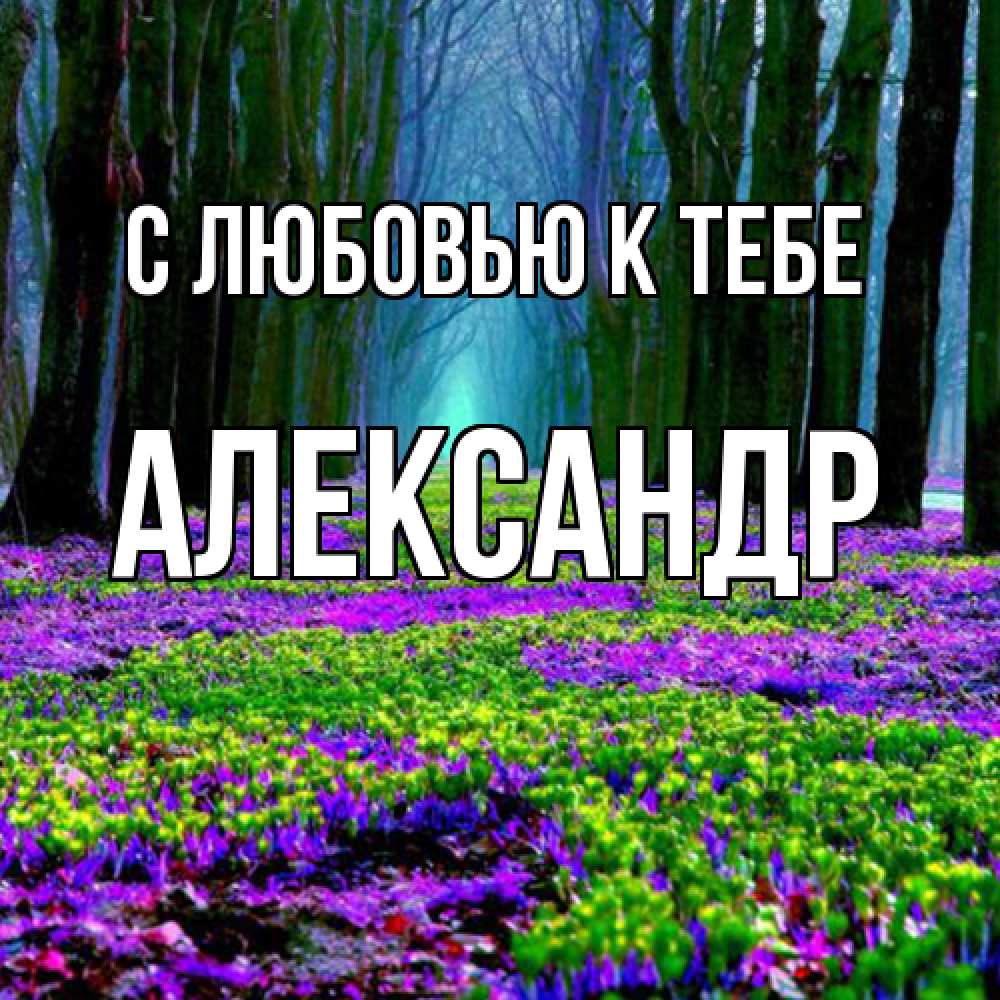 Открытка  с именем. Александр, С любовью к тебе  