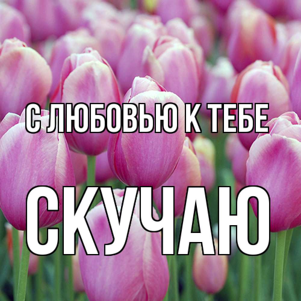 Открытка  с именем. Скучаю, С любовью к тебе  