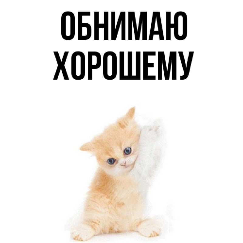 Картинка Обнимаю, Хорошему