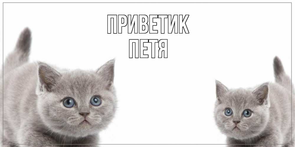 Открытка  с именем. Петя, приветик  