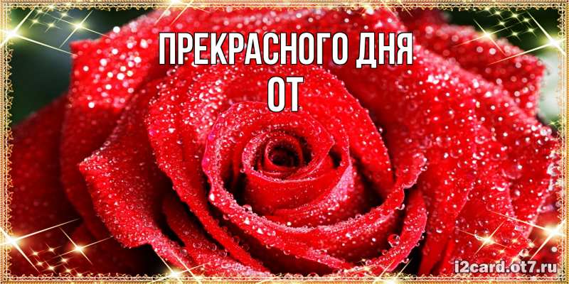 Картинка Прекрасного дня, От