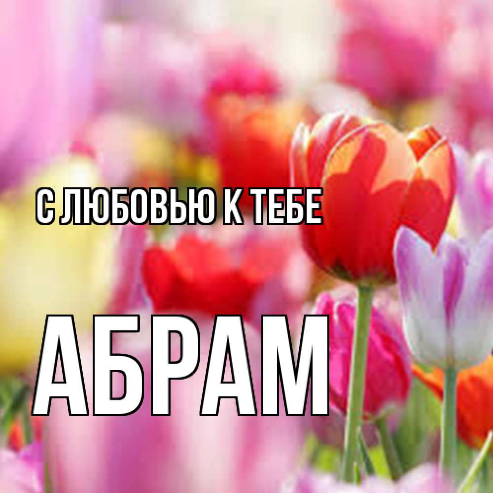 Открытка  с именем. Абрам, С любовью к тебе  