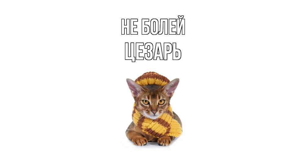 Открытка  с именем. Цезарь, Не болей  
