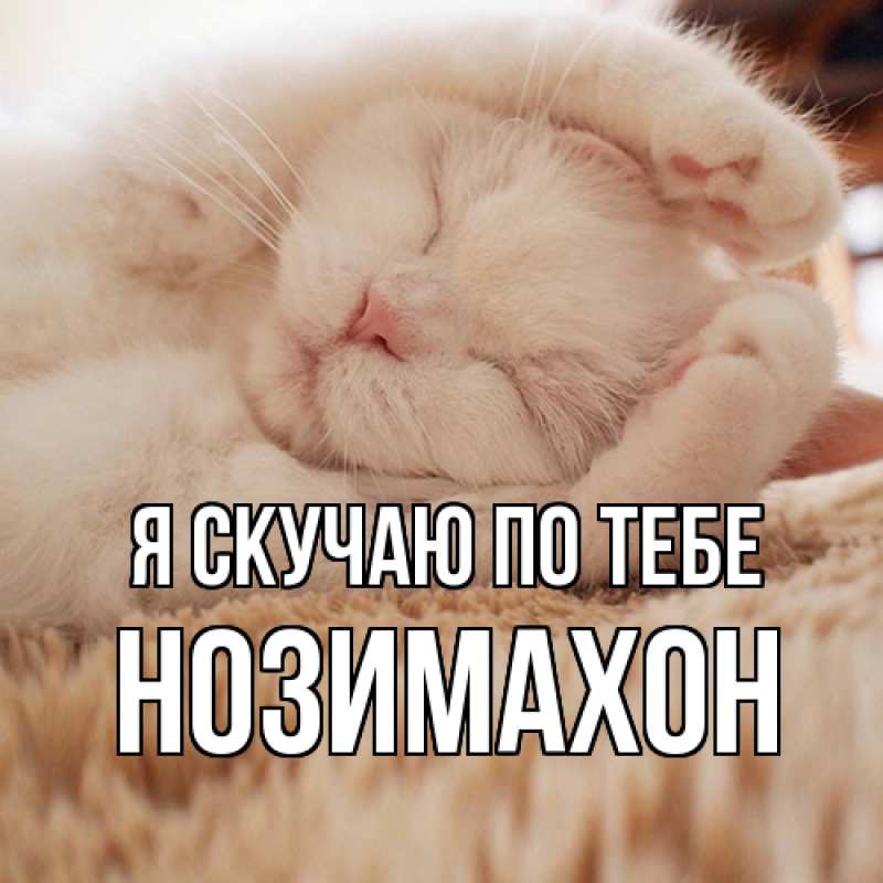 Картинка Я скучаю по тебе, Нозимахон